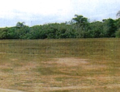 2001N11